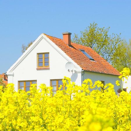 Historisches Inselhaeuschen - Surfer/Kiter/Familien Villa Fehmarn Kültér fotó