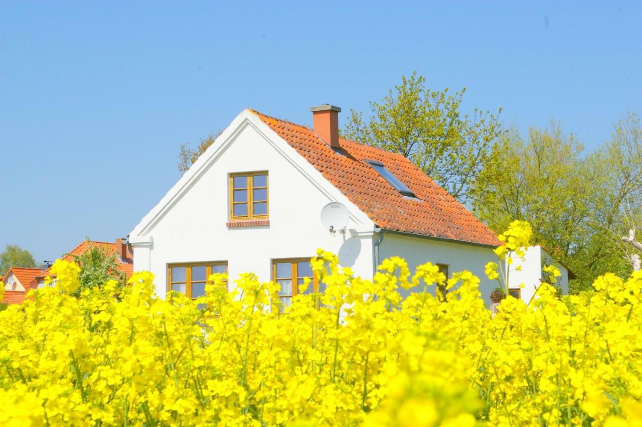 Historisches Inselhaeuschen - Surfer/Kiter/Familien Villa Fehmarn Kültér fotó